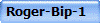 Roger-Bip-1